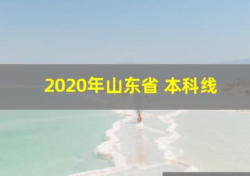 2020年山东省 本科线